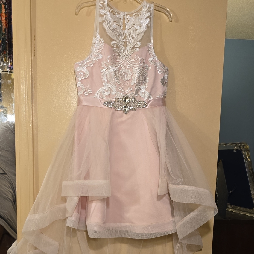 Pink and White Embroidered Dress with Tulle Overlay